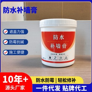 源头厂家 防水补墙膏 墙面修补白色防水腻子膏 跨境出口