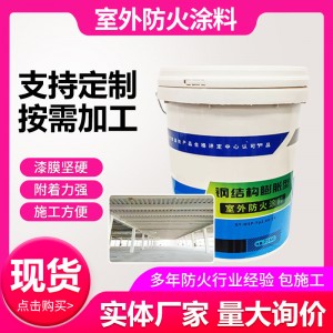 厂家供应室外膨胀型钢结构防火涂料隔热阻燃薄型耐高温耐火
