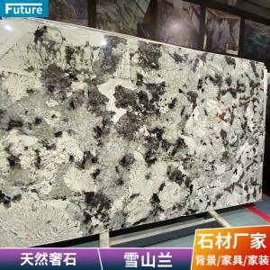 奢石彩色天然大理石雪山兰客厅背景墙现代简约台面岛台别墅卫生间