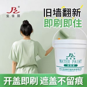 内墙涂料乳胶漆室内清新净味防霉环保水性墙面漆家用自刷墙 漆跨境